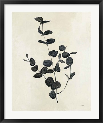 Framed Botanical Study II Print