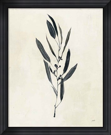 Framed Botanical Study I Print