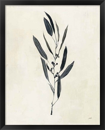 Framed Botanical Study I Print