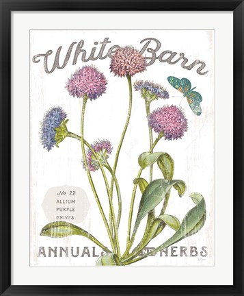 Framed White Barn Flowers VI Print