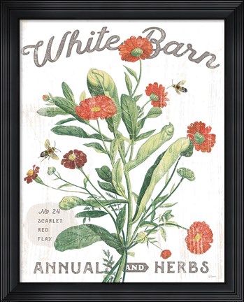 Framed White Barn Flowers IV Print
