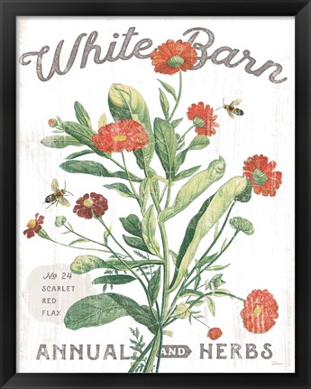 Framed White Barn Flowers IV Print