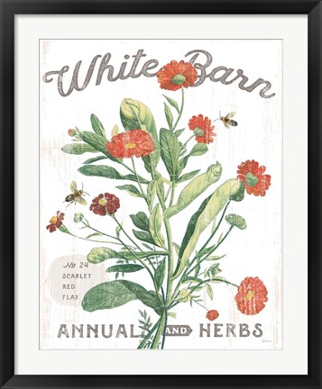 Framed White Barn Flowers IV Print
