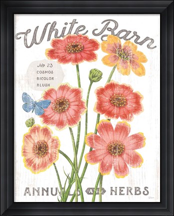 Framed White Barn Flowers III Print