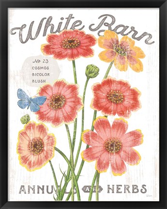 Framed White Barn Flowers III Print