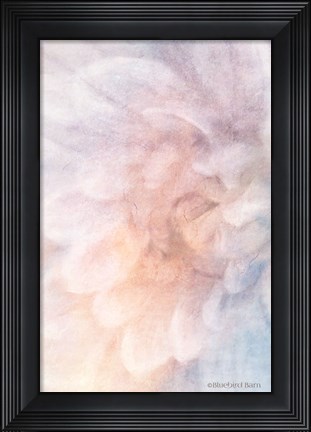 Framed Soft Dahlia Pastel Blue Lilac Print