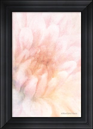 Framed Soft Dahlia Pastel Peach Print