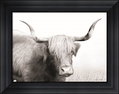 Framed Highland Cow Print