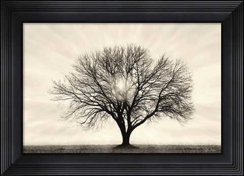 Framed Grow in Different Directions Print