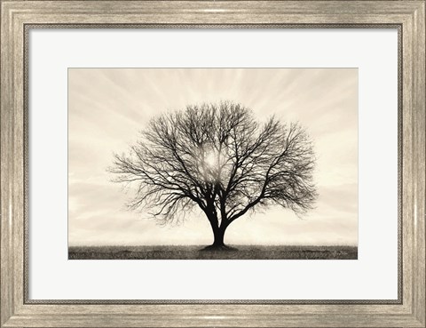 Framed Grow in Different Directions Print