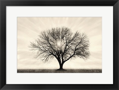 Framed Grow in Different Directions Print