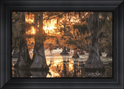 Framed Sunset in the Swamps Print