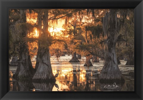 Framed Sunset in the Swamps Print