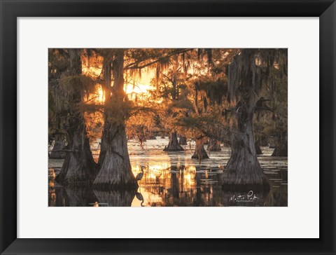 Framed Sunset in the Swamps Print