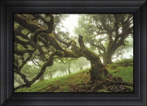 Framed Tentacles Print
