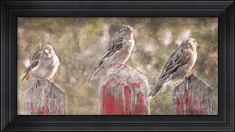 Framed Birds on a Fence Print