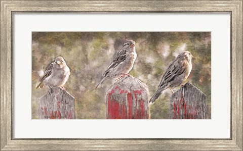 Framed Birds on a Fence Print