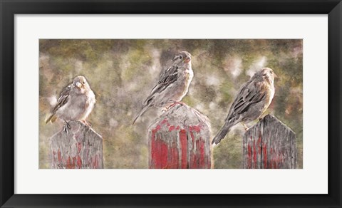 Framed Birds on a Fence Print