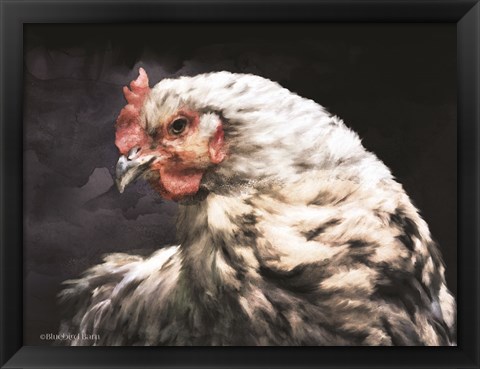 Framed Rooster Portrait Print