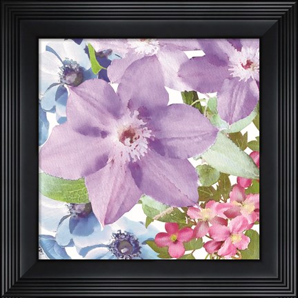 Framed Clematis I Print