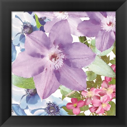 Framed Clematis I Print