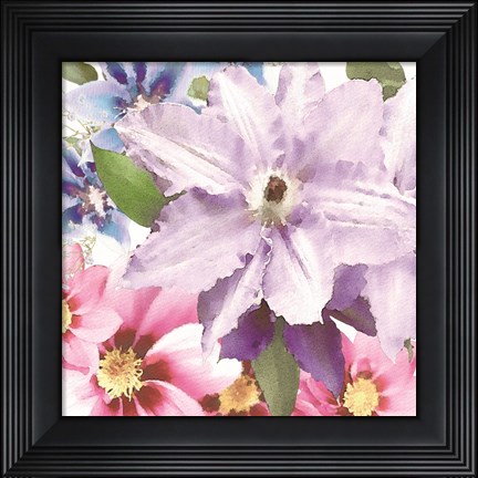 Framed Clematis II Print