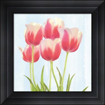 Framed Fresh Spring Tulips III Print