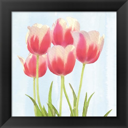 Framed Fresh Spring Tulips III Print