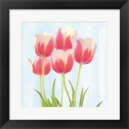 Framed Fresh Spring Tulips III Print