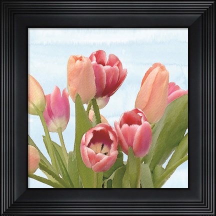 Framed Fresh Spring Tulips IV Print