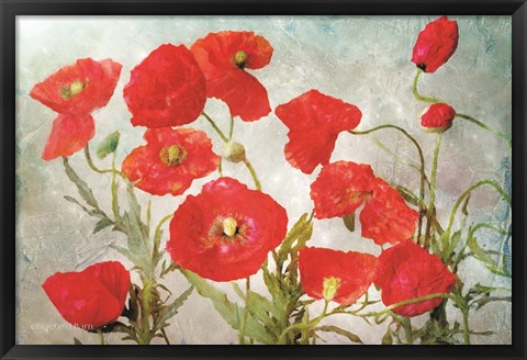 Framed Poppies Print