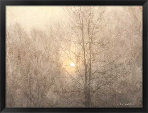 Framed Fading Trees Sunlight Print