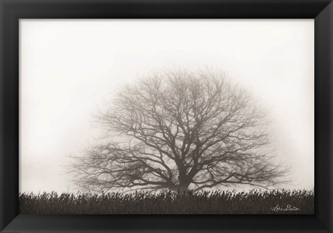 Framed Foggy Old Tree Print