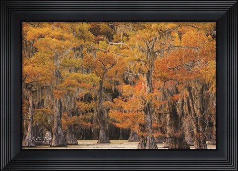 Framed Autumn&#39;s Painting Print