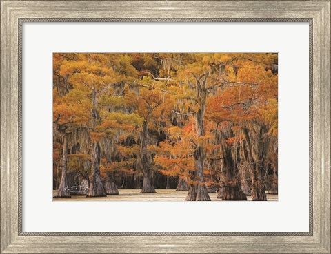 Framed Autumn&#39;s Painting Print