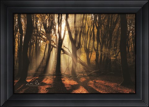 Framed X Print