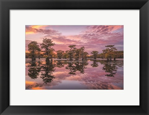 Framed Magnificent Sunset in the Swamps Print