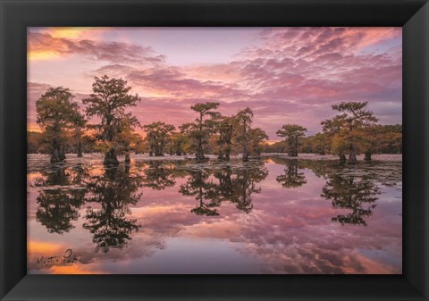 Framed Magnificent Sunset in the Swamps Print