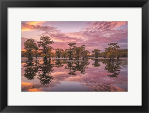 Framed Magnificent Sunset in the Swamps Print