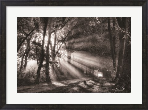 Framed Black and White Rays Print