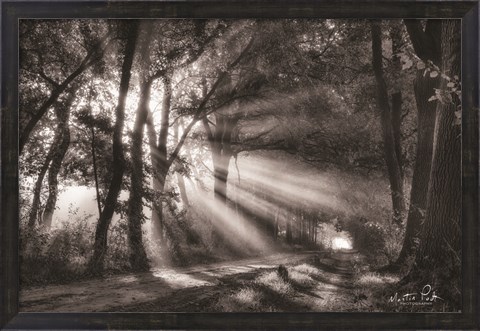 Framed Black and White Rays Print
