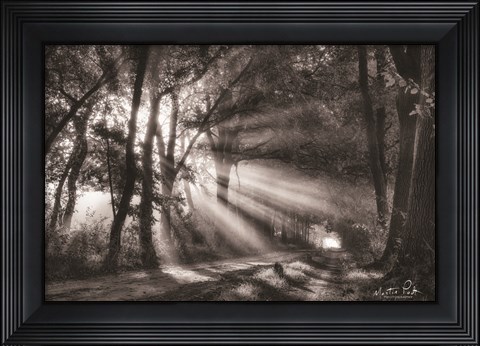 Framed Black and White Rays Print