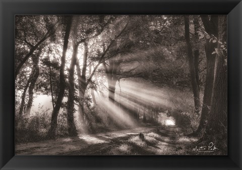 Framed Black and White Rays Print