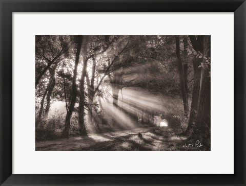 Framed Black and White Rays Print