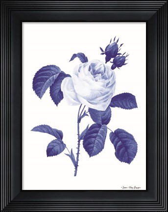 Framed Blue Botanical I Print
