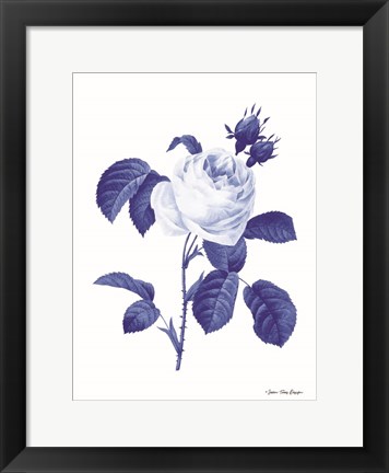 Framed Blue Botanical I Print