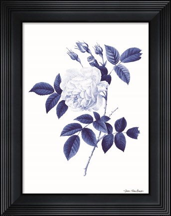 Framed Blue Botanical II Print