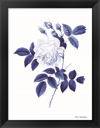 Framed Blue Botanical II Print