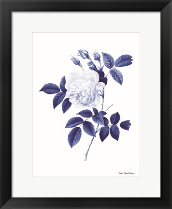 Framed Blue Botanical II Print