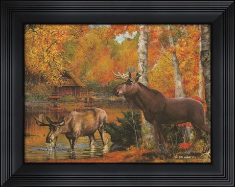 Framed Peaceful Retreat Print